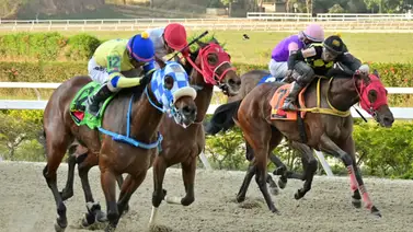 Entérate del ajuste de este ejemplar que podrá unir partida con llegada en la R14 Entérate del ajuste de este ejemplar que podrá unir partida con llegada en la R14