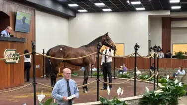 Este es el propietario que se quedó con el hijo de Cacciatora por $1,3 millones Este es el propietario que se quedó con el hijo de Cacciatora por $1,3 millones