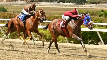 Lo que revela el ajuste de la gran opción de Gaceta Hípica promete repetir victoria para el juego del 5y6 Lo que revela el ajuste de la gran opción de Gaceta Hípica promete repetir victoria para el juego del 5y6