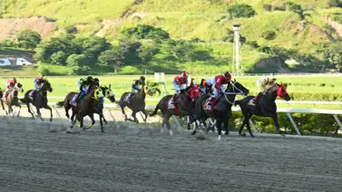 Conoce el monto a repartir que tendrá este año el Clásico Internacional Simón Bolívar (GI) en La Rinconada Conoce el monto a repartir que tendrá este año el Clásico Internacional Simón Bolívar (GI) en La Rinconada