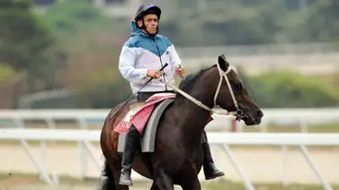 José Gilberto Hernández esta listo para sumar más victorias en La Rinconada (+Video) José Gilberto Hernández esta listo para sumar más victorias en La Rinconada (+Video)