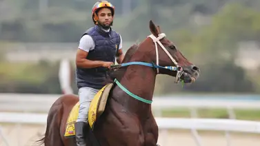Hay dos ejemplares de buen dividendo con los que Yonkleiver Diaz espera decidir en La Rinconada (+Video) Hay dos ejemplares de buen dividendo con los que Yonkleiver Diaz espera decidir en La Rinconada (+Video)