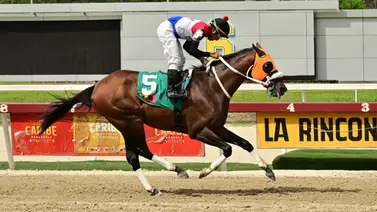 Con el mejor remate de este ejemplar buscará triunfar en la carrera de los acumulados en el 5y6 Con el mejor remate de este ejemplar buscará triunfar en la carrera de los acumulados en el 5y6