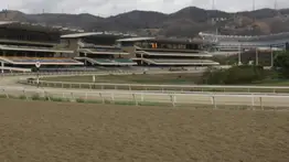 Datos de última hora para el Hipódromo Internacional La Rinconada 20-4-2025