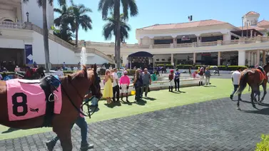 Datos de última hora para el Picks 5 costa a costa entre Gulfstream Park y Santa Anita Park 18-4-2025 Datos de última hora para el Picks 5 costa a costa entre Gulfstream Park y Santa Anita Park 18-4-2025