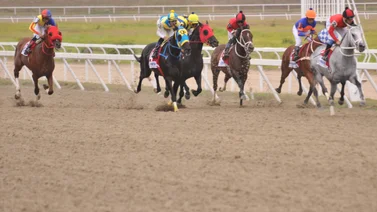 Descubran los caballos con más fuerza para este domingo en La Rinconada