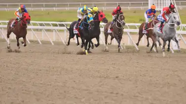 Descubran los caballos con más fuerza para este domingo en La Rinconada Descubran los caballos con más fuerza para este domingo en La Rinconada