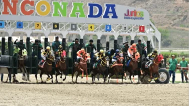 La Rinconada: Los datos clave de MeridianoBet para ganar este domingo