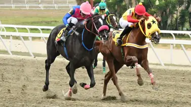 ¿Buscas alternativas diferentes a Victoria De Oro y Marrakech? ¡Descubre el gran batacazo de la tarde aquí! ¿Buscas alternativas diferentes a Victoria De Oro y Marrakech? ¡Descubre el gran batacazo de la tarde aquí!