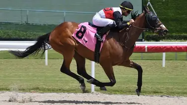 Yunta criolla se hace sentir en Gulfstream Park la tarde de este sábado Yunta criolla se hace sentir en Gulfstream Park la tarde de este sábado