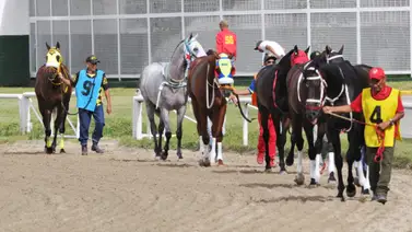Estos son los retirados para la reunión 14 en La Rinconada 20-4-2025 Estos son los retirados para la reunión 14 en La Rinconada 20-4-2025