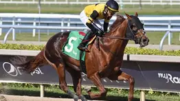 Emisael Jaramillo cerró la jornada sabatina del Royal Palm Meet con dos triunfos en Gulfstream Park