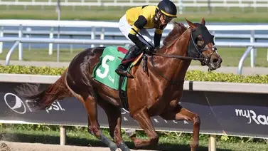 Emisael Jaramillo cerró la jornada sabatina del Royal Palm Meet con dos triunfos en Gulfstream Park Emisael Jaramillo cerró la jornada sabatina del Royal Palm Meet con dos triunfos en Gulfstream Park