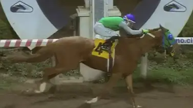 El Stud Doña Ester trae su magia a La Rinconada: Yeguas chilenas listas para conquistar la pista venezolana El Stud Doña Ester trae su magia a La Rinconada: Yeguas chilenas listas para conquistar la pista venezolana