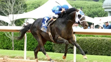 A la cima: Esta yunta se alza con el espectacular premio de $1.250.000 en el Oaklawn Handicap (G2)