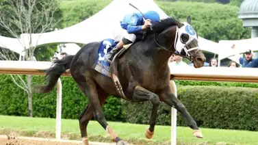 A la cima: Esta yunta se alza con el espectacular premio de $1.250.000 en el Oaklawn Handicap (G2) A la cima: Esta yunta se alza con el espectacular premio de $1.250.000 en el Oaklawn Handicap (G2)