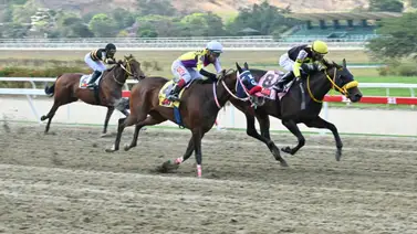 Suspensión Temporal: Jinete profesional en La Rinconada queda fuera de competencia Suspensión Temporal: Jinete profesional en La Rinconada queda fuera de competencia