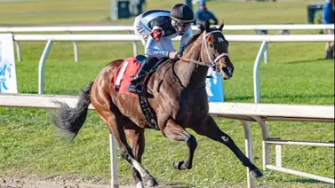Nuevo ejemplar retirado para el Kentucky Derby Nuevo ejemplar retirado para el Kentucky Derby