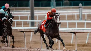 Póker de triunfos para jockey venezolano que está a 4 de las 200 victorias en Estados Unidos Póker de triunfos para jockey venezolano que está a 4 de las 200 victorias en Estados Unidos