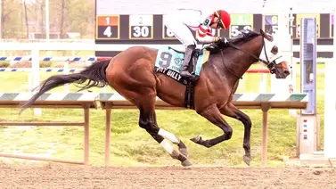 El Preakness Stakes ya tiene otro ejemplar listo para correr su edición 150 El Preakness Stakes ya tiene otro ejemplar listo para correr su edición 150
