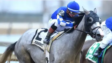 Nieta de Tapit se alista desde Nueva York para la Kentucky Oaks Nieta de Tapit se alista desde Nueva York para la Kentucky Oaks