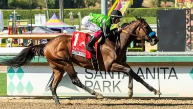 La chilena Richi derrotó a sus enemigas en el Santa María Stakes La chilena Richi derrotó a sus enemigas en el Santa María Stakes