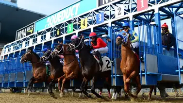 Sobrino de Richard Bracho gana en Aqueduct y se mete entre los mejores del meeting Sobrino de Richard Bracho gana en Aqueduct y se mete entre los mejores del meeting