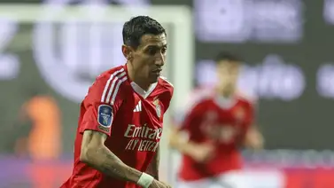 Benfica y Sporting buscarán el pase a la final de la Copa de Portugal Benfica y Sporting buscarán el pase a la final de la Copa de Portugal