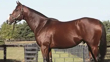 El Padre de las gemelas recientes celebra el estreno de su otra hija este domingo en La Rinconada El Padre de las gemelas recientes celebra el estreno de su otra hija este domingo en La Rinconada