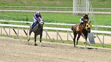 Nieto de Tapit regresa a la competencia en La Rinconada tras 140 días de espera