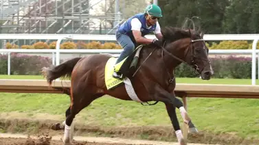 Así trabajó la monta de Junior Alvarado para el Kentucky Derby Así trabajó la monta de Junior Alvarado para el Kentucky Derby