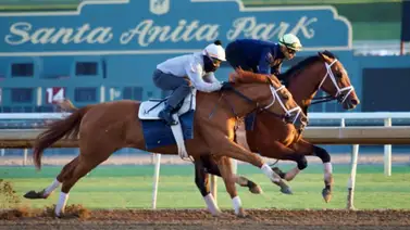 El principal candidato al Derby de Kentucky voló en su trabajo de ajuste + video El principal candidato al Derby de Kentucky voló en su trabajo de ajuste + video