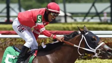 Jinete venezolano consiguió un sensacional súper High Five en este hipódromo Jinete venezolano consiguió un sensacional súper High Five en este hipódromo