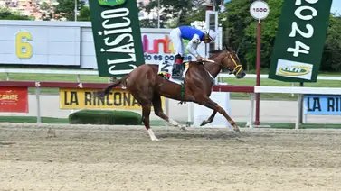 Hija de Siete C regresa a la pista de La Rinconada tras 140 días sin correr y parte como favorita Hija de Siete C regresa a la pista de La Rinconada tras 140 días sin correr y parte como favorita