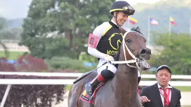 Yegua que hizo su debut con el jinete José Luis Ortiz regresa a La Rinconada luego de 154 días sin correr Yegua que hizo su debut con el jinete José Luis Ortiz regresa a La Rinconada luego de 154 días sin correr