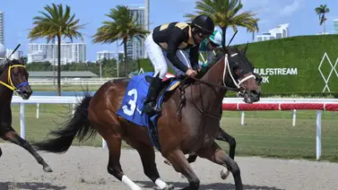 José Francisco D’Angelo busca su primer título en Estados Unidos José Francisco D’Angelo busca su primer título en Estados Unidos