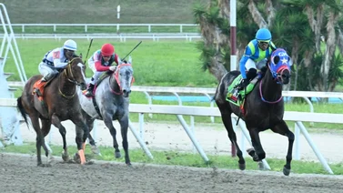 Cuidado con este que reaparece y ya se ha ganado a varios de los que aquí corre en la R15