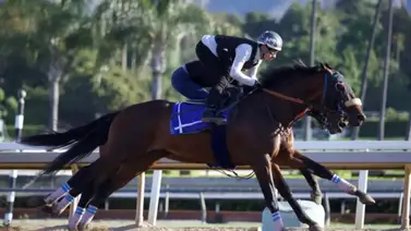 Rodríguez ejercitó por última vez en Santa Anita antes de su viaje al Kentucky Derby Rodríguez ejercitó por última vez en Santa Anita antes de su viaje al Kentucky Derby