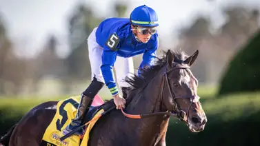 Observa el desempeño del caballo que guiará Manuel Franco en el Kentucky Derby Observa el desempeño del caballo que guiará Manuel Franco en el Kentucky Derby