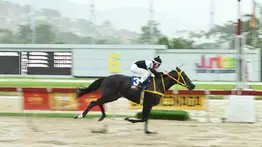 César Cachazo quiere mantener la racha de victorias con este ejemplar que tiene 189 días sin correr