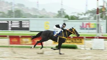 César Cachazo quiere mantener la racha de victorias con este ejemplar que tiene 189 días sin correr