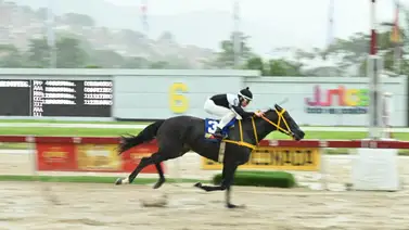 César Cachazo quiere mantener la racha de victorias con este ejemplar que tiene 189 días sin correr César Cachazo quiere mantener la racha de victorias con este ejemplar que tiene 189 días sin correr