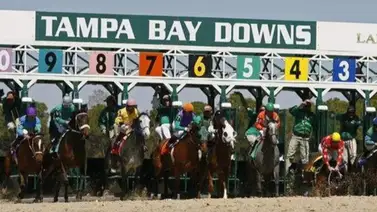 Datos de última hora para la jornada en Tampa Bay Downs 23-4-2025 + Aqueduct Datos de última hora para la jornada en Tampa Bay Downs 23-4-2025 + Aqueduct