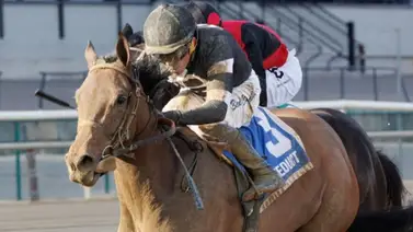 Pareja de White Beckman ejercitaron con fuerzas para la Kentucky Oaks Pareja de White Beckman ejercitaron con fuerzas para la Kentucky Oaks