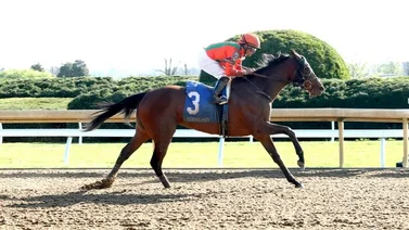 Panameño Luis Sáez buscará el tercer meeting de su carrera en Keeneland