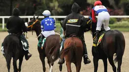 Se presenta un retiro para el ciclo de la no válida de la reunión número 15 