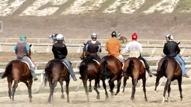 En la carrera de los acumulados para el 5y6 de la reunión número 15 presenta un retiro En la carrera de los acumulados para el 5y6 de la reunión número 15 presenta un retiro