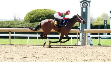 Flavien Prat por el asalto de la estadística en Keeneland en la última semana de carreras Flavien Prat por el asalto de la estadística en Keeneland en la última semana de carreras