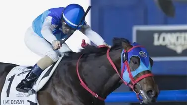 Entérate de los detalles como ejercitó el japonés Admire Daytona ganador del UAE Entérate de los detalles como ejercitó el japonés Admire Daytona ganador del UAE