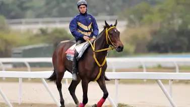 Yamper González se apoyará en la velocidad de estos ejemplares en el 5y6 nacional de La Rinconada (+Video) Yamper González se apoyará en la velocidad de estos ejemplares en el 5y6 nacional de La Rinconada (+Video)